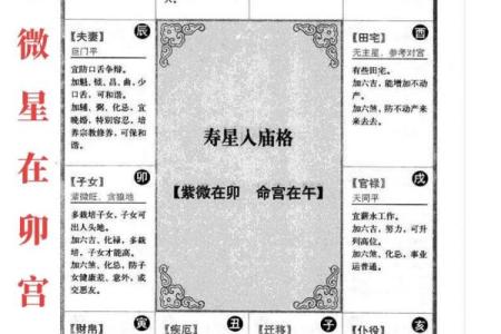 紫薇斗数富翁格局