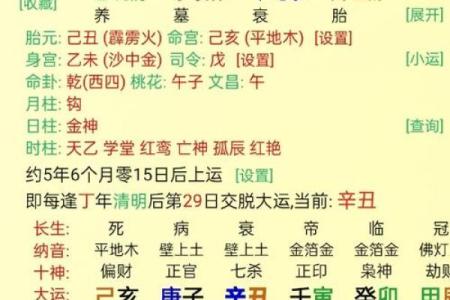 偏财格八字