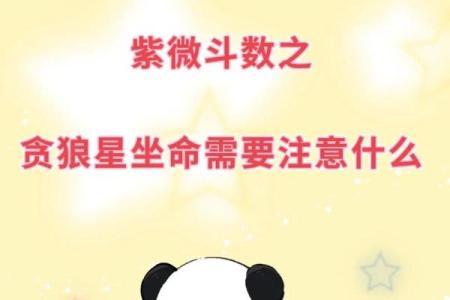 紫微斗数－贪狼星
