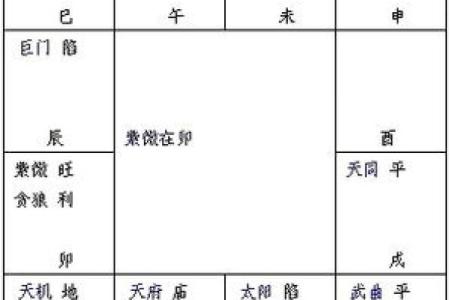 如何定紫薇星天府星