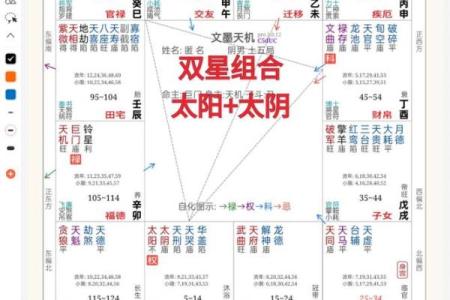 紫薇斗数太阴视频