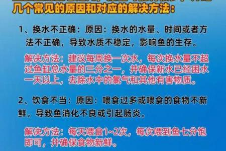 风水角度鱼从鱼缸里跳出来有什么寓意预兆