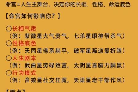 紫薇斗数性格定盘