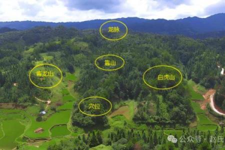 什么样的墓地风水最好