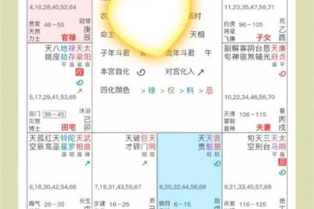 紫微斗数占卜 紫微斗数占卜最简单三个步骤？