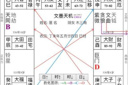 人生紫薇斗数