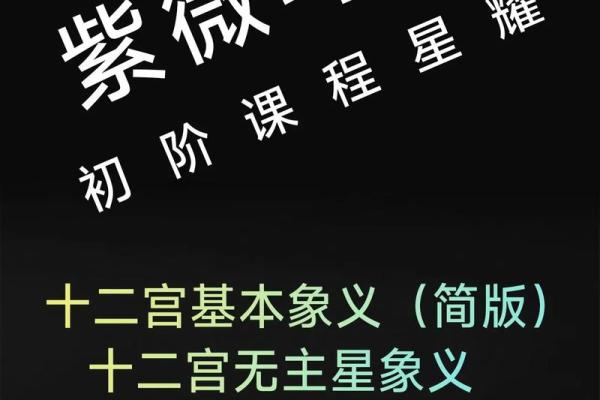 紫微斗数正统 紫微斗数!？