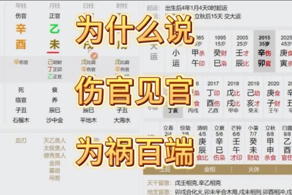 八字实例35：这不是伤官见官吗，为什么还能当官？