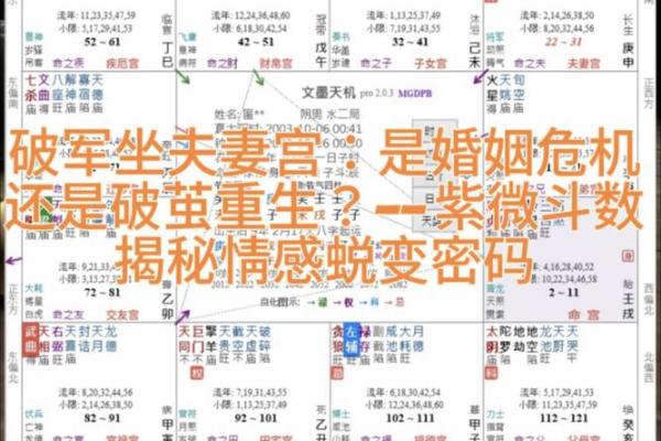 紫薇斗数生子