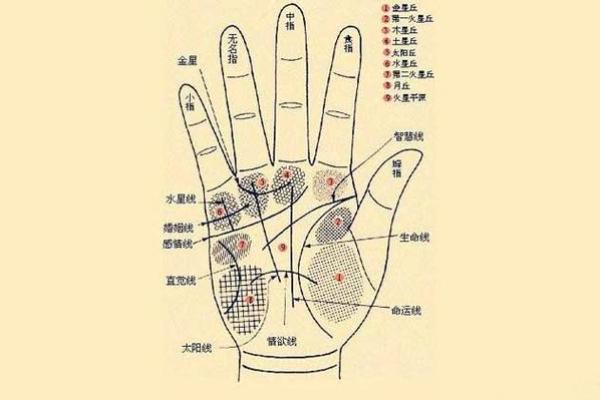男士手相算命