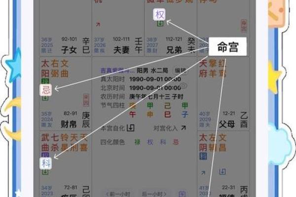 紫薇斗数男命命宫紫薇