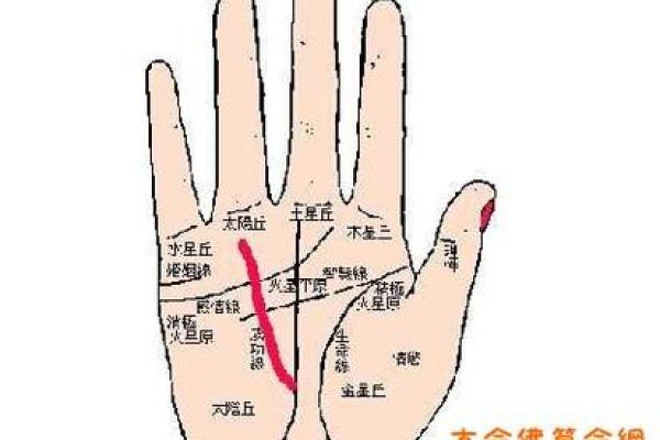 五指长短算命