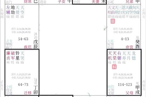 紫薇斗数命盘会照