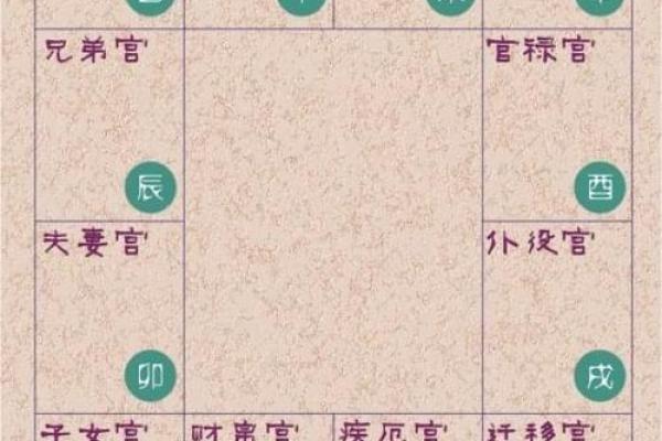 紫薇斗数看样貌
