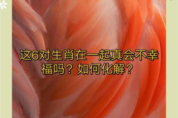 八字婚姻生肖相冲，如何化解？