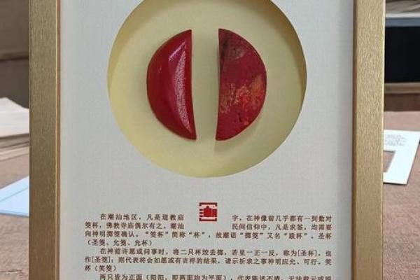 求筶神杯灵签全文详解