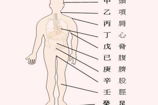 八字生病