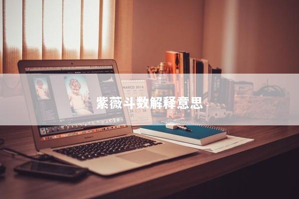 紫薇斗数解释意思