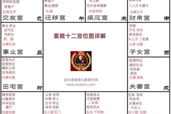 性格宫紫薇斗数