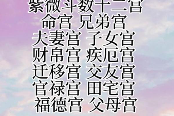 性格宫紫薇斗数