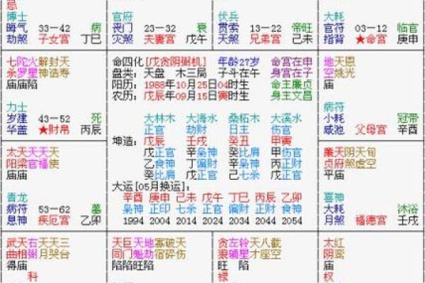 紫微斗数化忌对照 紫微斗数化忌入各宫？