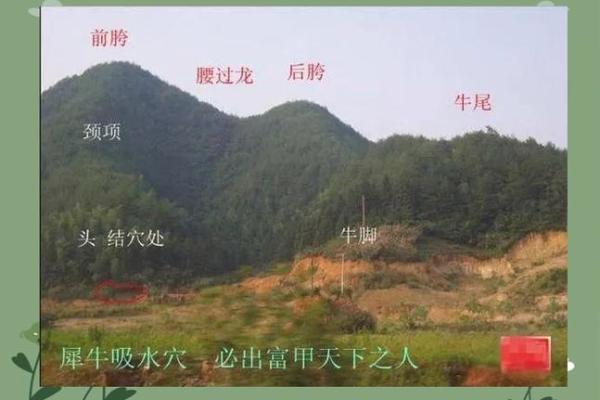 祖坟风水有什么影响-