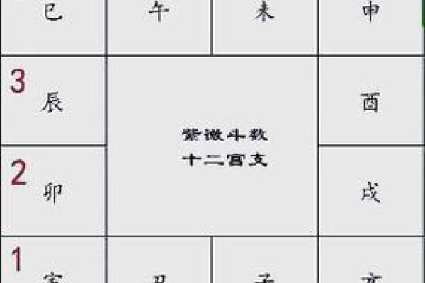 紫薇斗球数排盘