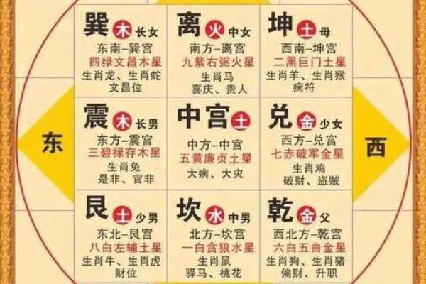 紫薇斗球数排盘