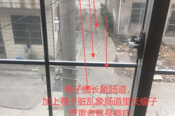 风水上说不能住太大的房子