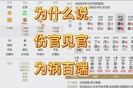 八字实例35：这不是伤官见官吗，为什么还能当官？