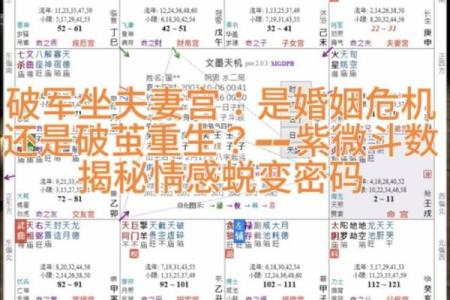 紫薇斗数生子