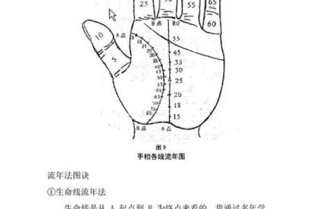 怎么算命用手就行