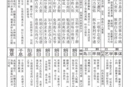 灵签贵妃