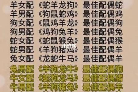 属相怎么写,怎么看自己的生辰八字