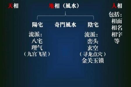 城府深的紫薇斗数