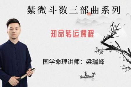 红尘相遇紫薇斗数