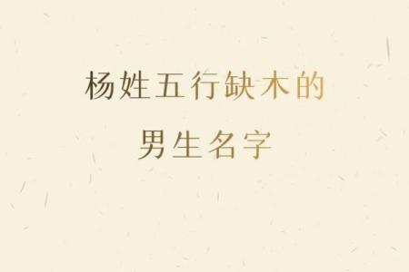 五行缺木八字喜水的字