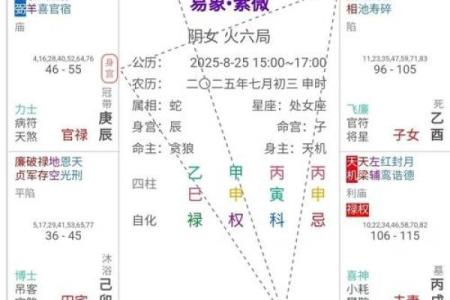 紫微斗数之交友宫与诸星，紫微星在交友宫是什么意思？