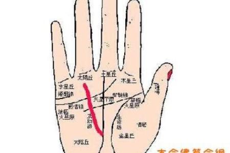 五指长短算命