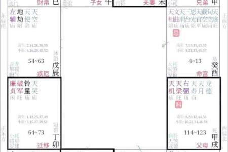 紫薇斗数命盘会照