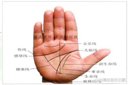 看手相算命生命线 手相图解生命线怎么看