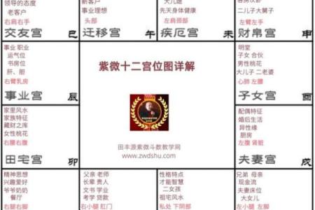 性格宫紫薇斗数