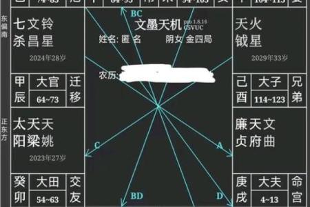 紫微斗数诸星落诸宫之：疾厄宫