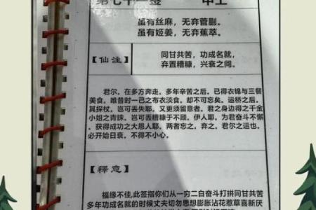 抽签解签月老