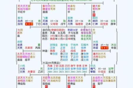 紫薇斗数中的年解