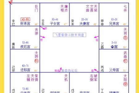 紫薇斗数看你结婚