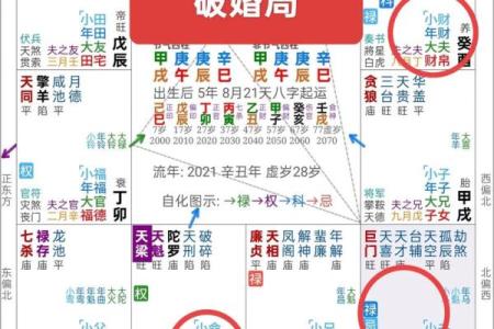紫微斗数之夫妻宫与诸星,天机星在夫妻宫是什么意思？