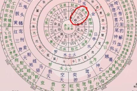 紫薇星盘斗数排盘