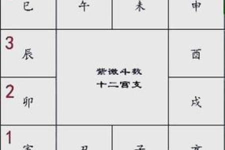 紫薇斗球数排盘