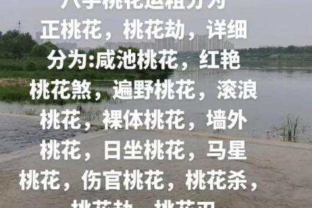 男人走桃花运的八字是怎样的-